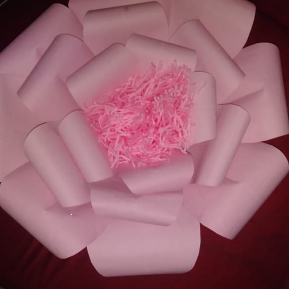 Meet your Posher, Ana hilda - Picture 2 of 2